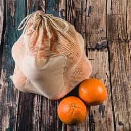 Bag with Groceries Undecorated