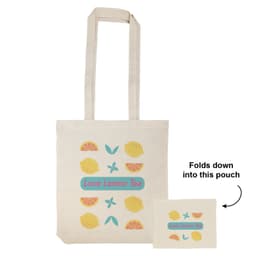 Bag Isolated with Pouch