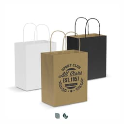 Paper Carry Bag - Medium - image 4