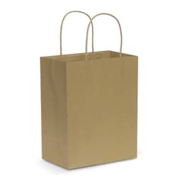 Paper Carry Bag - Medium - image 1