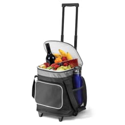 Glacier Cooler Trolley - image 2