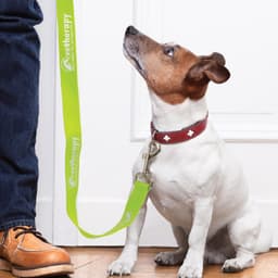 Trek Dog Leash - image 2