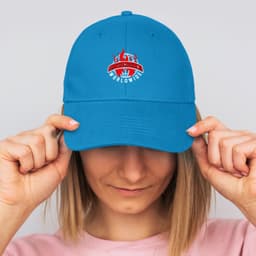 Falcon Cap - image 1