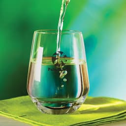 Vino Stemless Glass - image 4