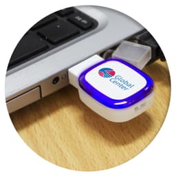 Zodiac 4GB Flash Drive - image 2