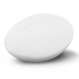 Rugby Ball Junior Pro - image 1