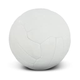 Netball Pro - image 1