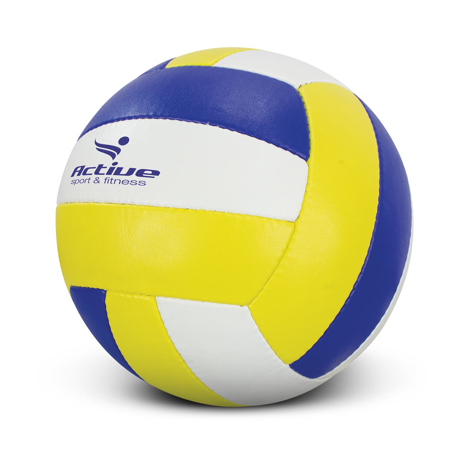 Volleyball Pro-Active Image