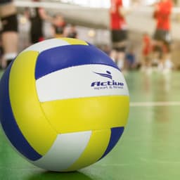 Volleyball Pro - image 2