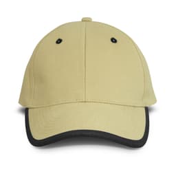 Springfield Cap - image 2