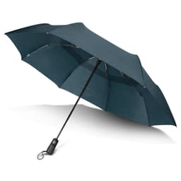 Director Umbrella - image 1