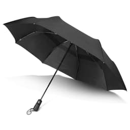 Director Umbrella - image 2
