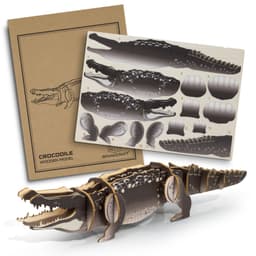 BRANDCRAFT Crocodile Wooden Model - image 2