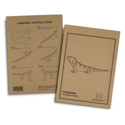 BRANDCRAFT Tuatara Wooden Model - image 10