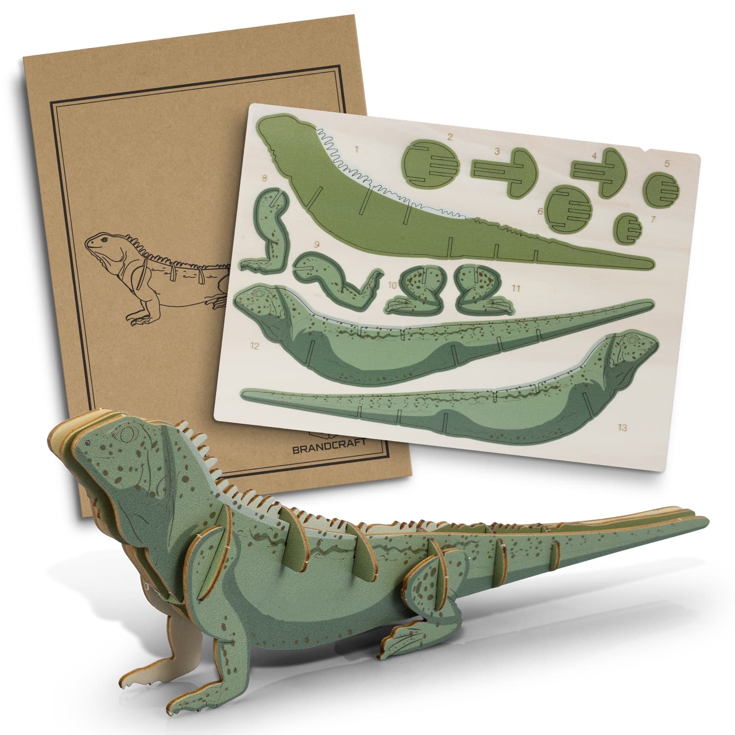 BRANDCRAFT Tuatara Wooden Model-Active Image