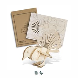 BRANDCRAFT Fantail Wooden Model - image 1