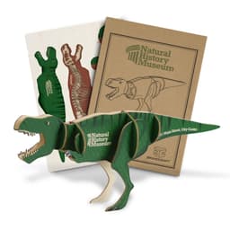 BRANDCRAFT Tyrannosaurus Rex Wooden Model - image 2