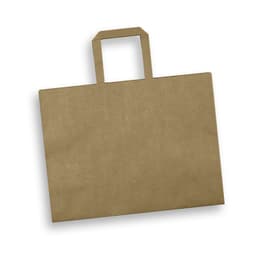 Large Flat Handle Paper Bag Landscape - image 1
