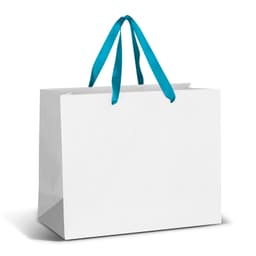 Large Ribbon Handle Paper Bag - Full Colour - image 1
