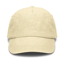 Vintage Washed Cap - image 1