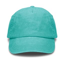 Vintage Washed Cap - image 11
