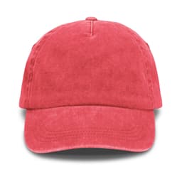 Vintage Washed Cap - image 6