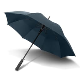 Cirrus Umbrella - image 2