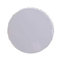 White White
