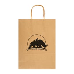 Screen Print Screen Print