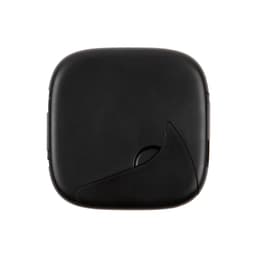 Black Back Black Back