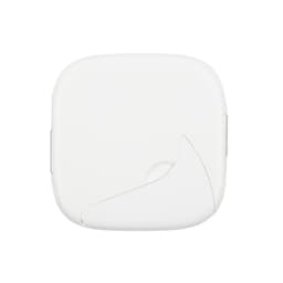 White Back White Back